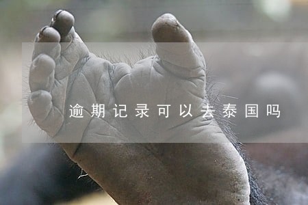 逾期记录可以去泰国吗 逾期记录可以去泰国吗
