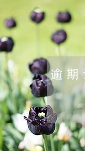逾期记录可以在外地办理吗 逾期记录可以在外地办理吗