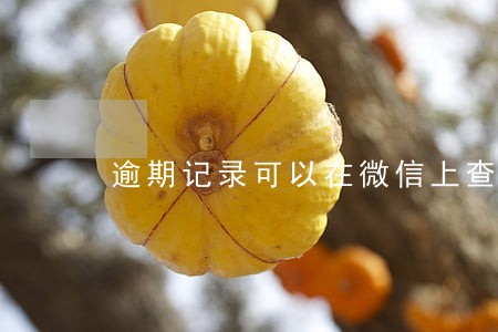逾期记录可以在微信上查吗