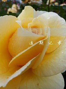 逾期记录可以坐飞机和高铁 逾期记录可以坐飞机和高铁