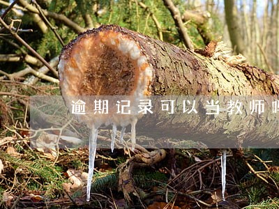 逾期记录可以当教师吗