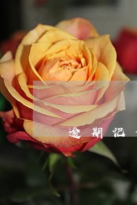 逾期记录可以影响孩子吗