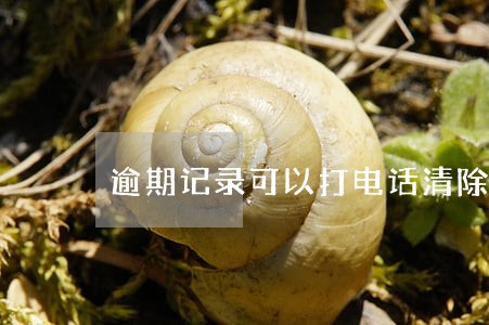 逾期记录可以打电话清除吗 逾期记录可以打电话清除吗
