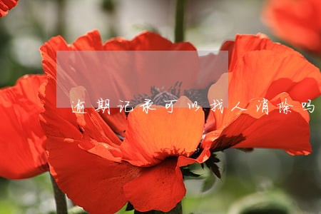 逾期记录可以找人消除吗