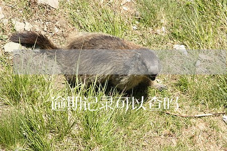逾期记录可以查吗 逾期记录可以查吗