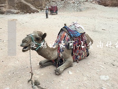 逾期记录可以查询什么时间吗 逾期记录可以查询什么时间吗