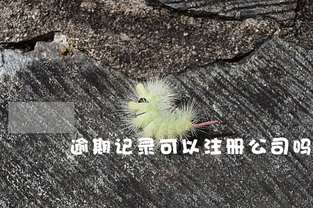 逾期记录可以注册公司吗 逾期记录可以注册公司吗