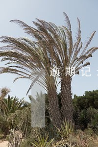 逾期记录可以消除吗 逾期记录可以消除吗