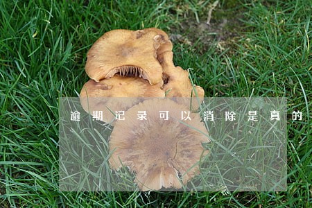 逾期记录可以消除是真的吗 逾期记录可以消除是真的吗