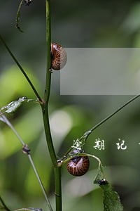 逾期记录可以申请消除 逾期记录可以申请消除