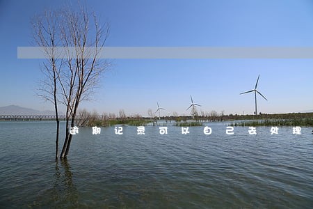 逾期记录可以自己去处理吗 逾期记录可以自己去处理吗