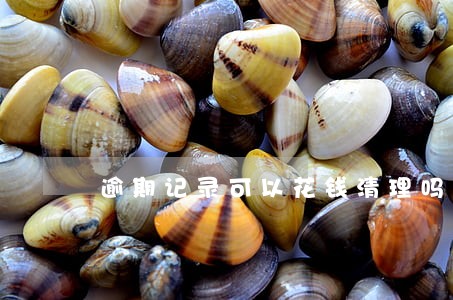 逾期记录可以花钱清理吗 逾期记录可以花钱清理吗