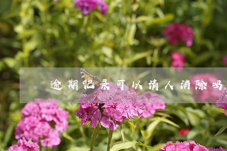 逾期记录可以请人消除吗 逾期记录可以请人消除吗