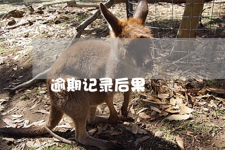 逾期记录后果 逾期记录后果