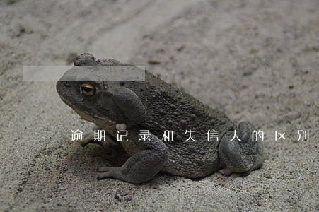 逾期记录和失信人的区别