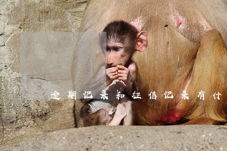 逾期记录和征信记录有什么区别 逾期记录和征信记录有什么区别