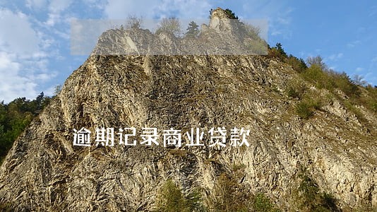 逾期记录商业贷款