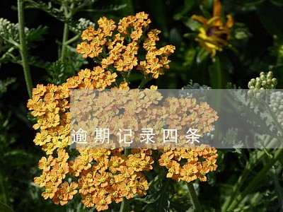 逾期记录四条 逾期记录四条