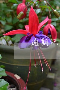 逾期记录回影响征信吗 逾期记录回影响征信吗