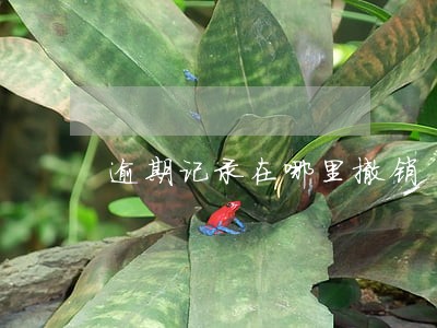 逾期记录在哪里撤销 逾期记录在哪里撤销