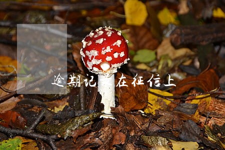 逾期记录在征信上 逾期记录在征信上