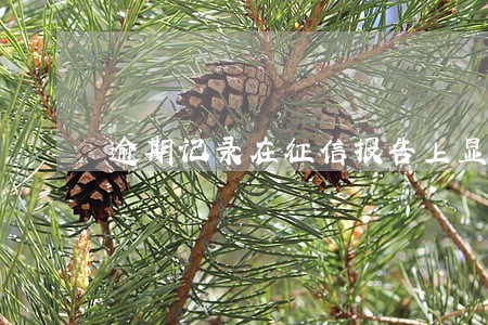 逾期记录在征信报告上显示几年 逾期记录在征信报告上显示几年