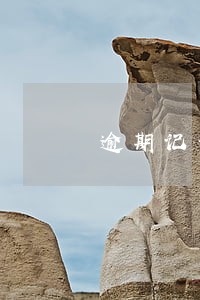 逾期记录在逐渐减少 逾期记录在逐渐减少