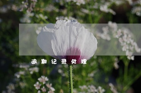 逾期记录处理 逾期记录处理