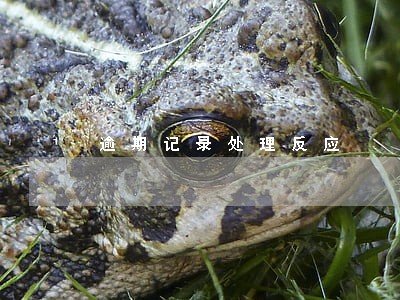 逾期记录处理反应 逾期记录处理反应
