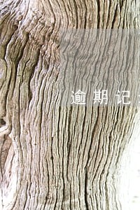 逾期记录处理方式 逾期记录处理方式