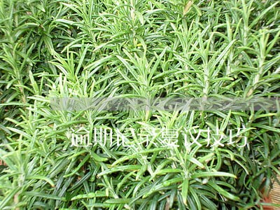 逾期记录复议技巧 逾期记录复议技巧