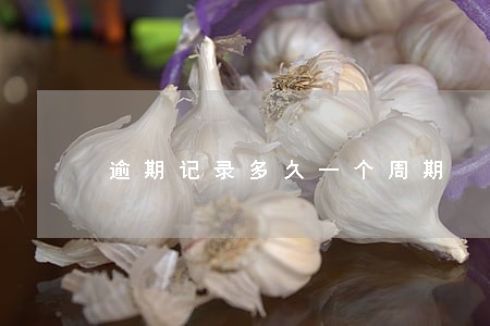 逾期记录多久一个周期
