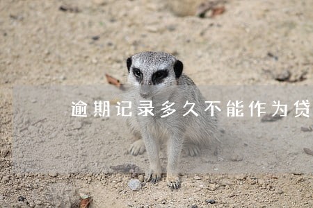 逾期记录多久不能作为贷款衡量 逾期记录多久不能作为贷款衡量