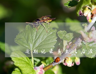 逾期记录多久以后没影响 逾期记录多久以后没影响