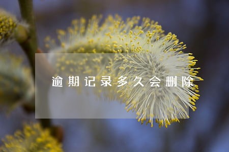 逾期记录多久会删除 逾期记录多久会删除