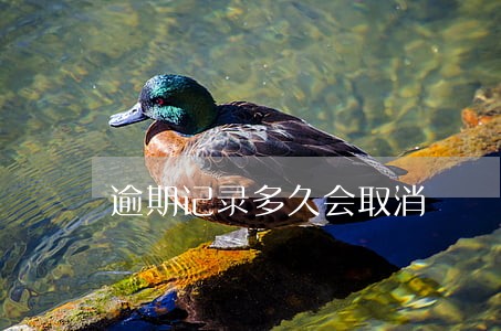 逾期记录多久会取消 逾期记录多久会取消