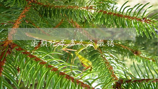 逾期记录多久会撤销 逾期记录多久会撤销