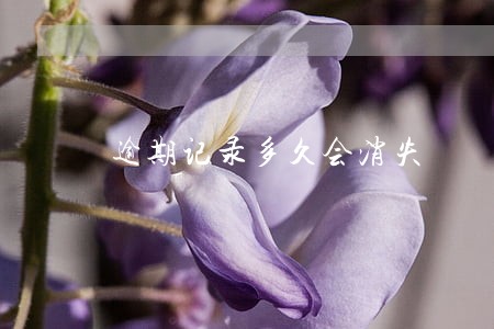 逾期记录多久会消失 逾期记录多久会消失