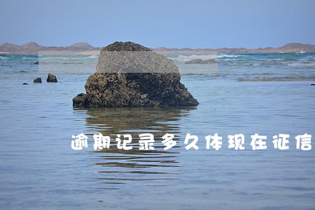 逾期记录多久体现在征信上 逾期记录多久体现在征信上