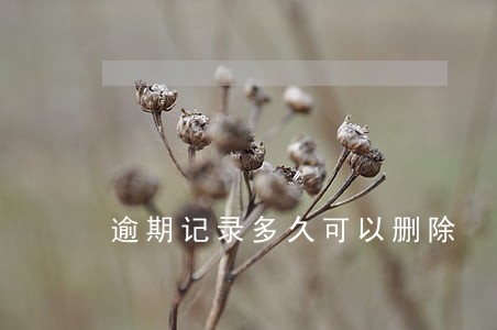逾期记录多久可以删除 逾期记录多久可以删除