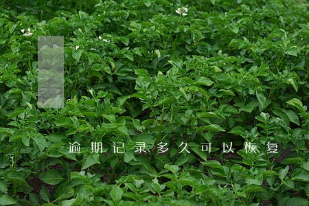 逾期记录多久可以恢复 逾期记录多久可以恢复