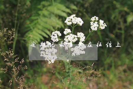 逾期记录多久在征信上 逾期记录多久在征信上
