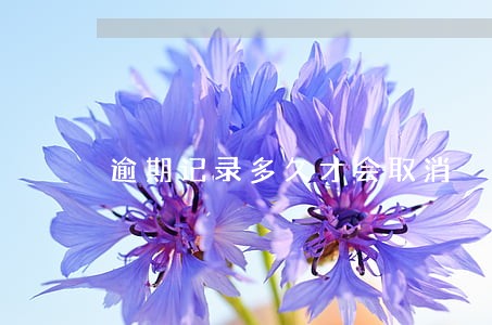 逾期记录多久才会取消 逾期记录多久才会取消