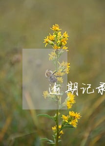 逾期记录多久才查询到 逾期记录多久才查询到