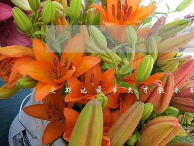 逾期记录多久才能办车贷 逾期记录多久才能办车贷