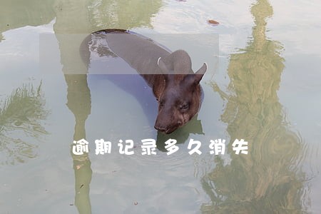 逾期记录多久消失 逾期记录多久消失