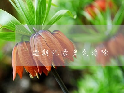 逾期记录多久消除 逾期记录多久消除