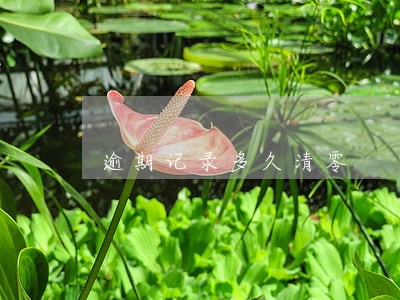 逾期记录多久清零 逾期记录多久清零