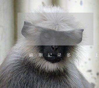 逾期记录多久能上传到央行 逾期记录多久能上传到央行
