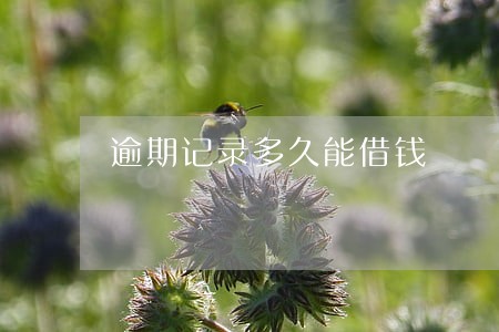 逾期记录多久能借钱 逾期记录多久能借钱